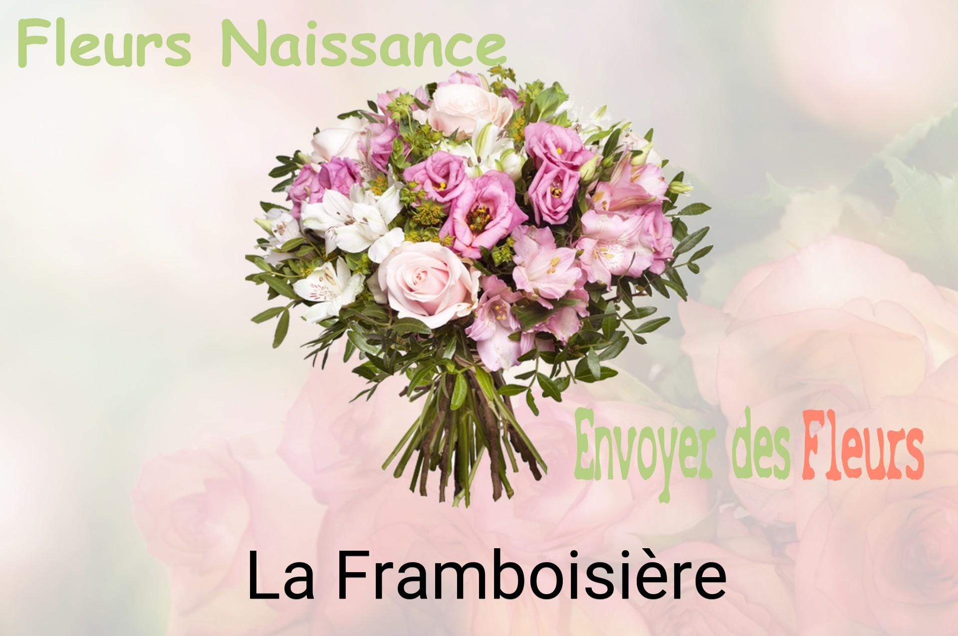 Bouquet de fleurs de naissance livré à La Framboisière